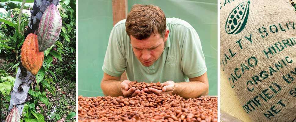 Kakaobohnen Einkauf in Columbien