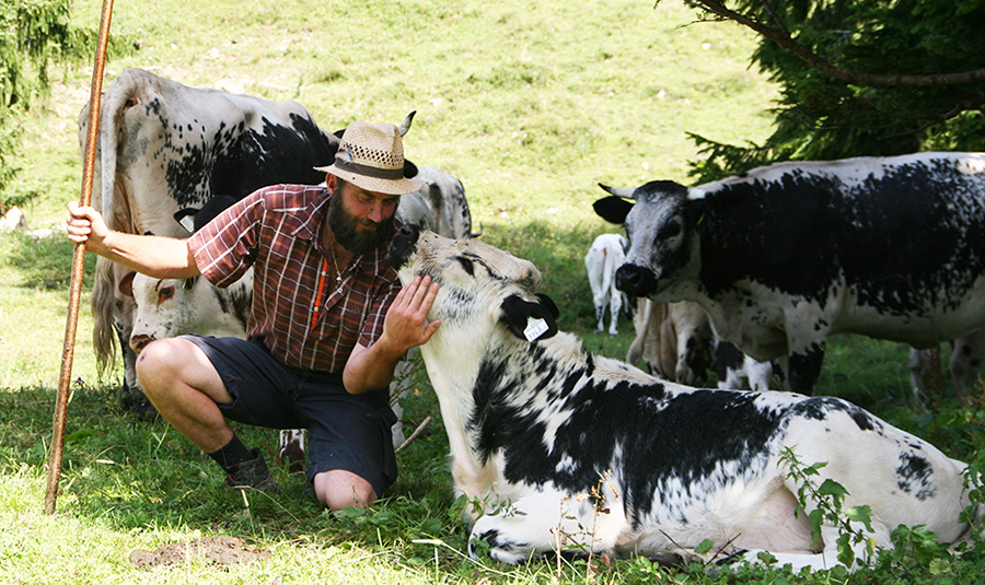 Tom und Sprinzi